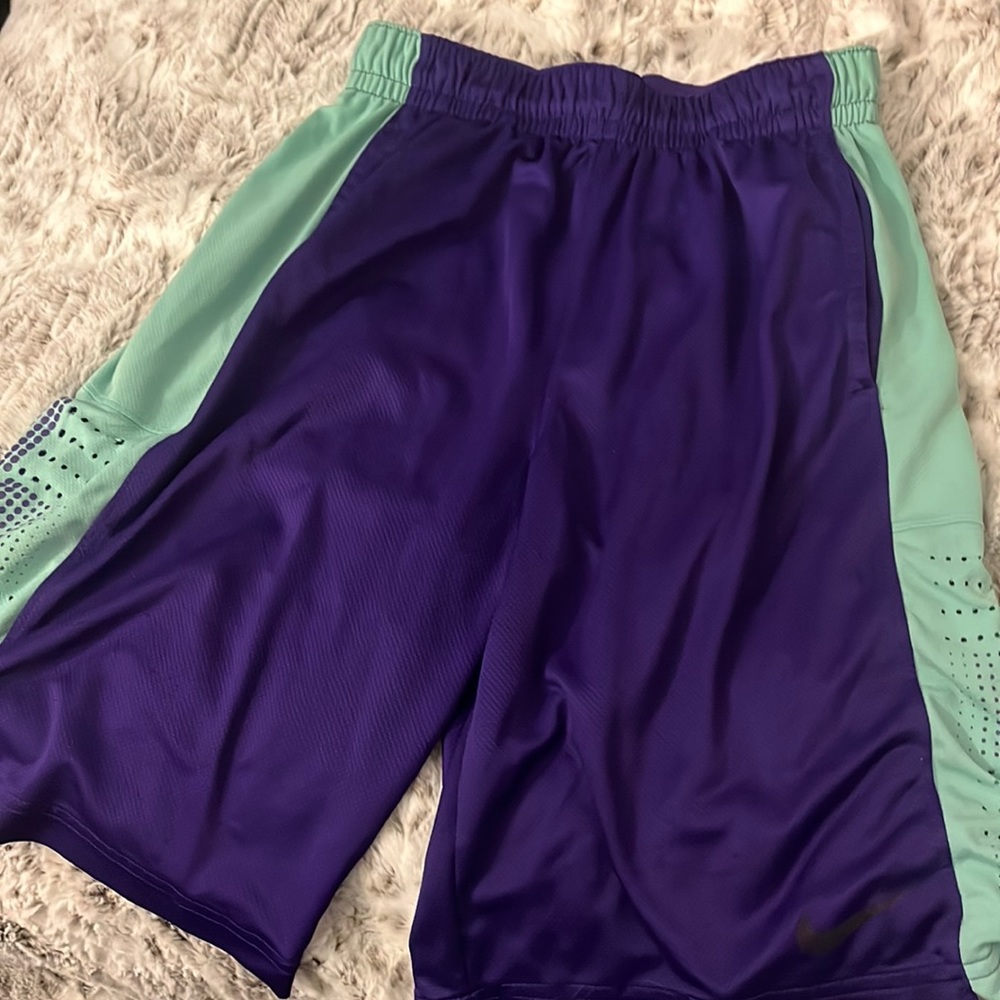 Men’s Purple/Green Nike Basketball Shorts